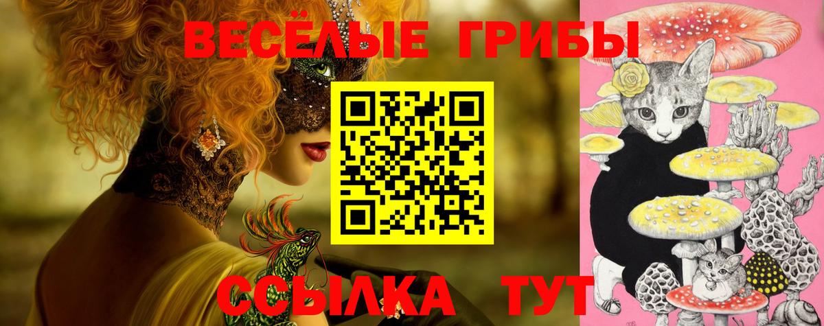 где найти   Вход с VPN  Аша  Галлюциногенные грибы прущие грибы 
